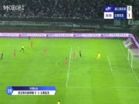 г 㽭ֲ̳VS 20250718