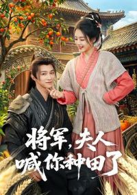 ���������˺���������