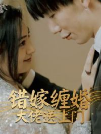 ���޲������������