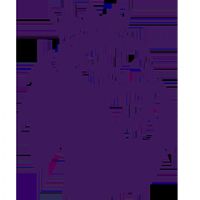 Ӣ�� Ŧ��˹����vs��ɭ��20250928