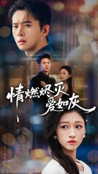 ��ȼ�������