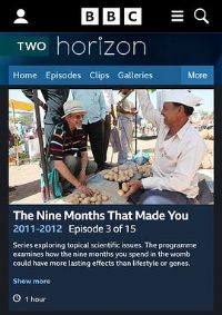 BBC��ƽ��ϵ��:��̥����