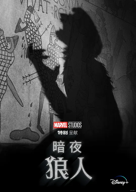 ��ҹ���ˡ�Ӱ�ӽ�˵��